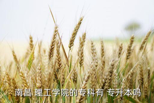  南昌 理工學院的?？朴?專升本嗎