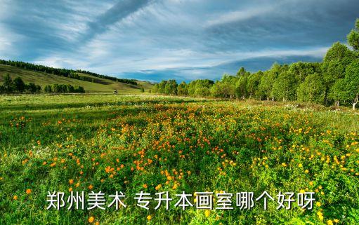  鄭州美術(shù) 專升本畫(huà)室哪個(gè)好呀