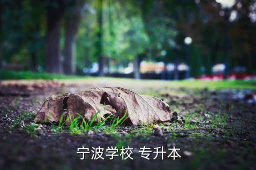  寧波學(xué)校 專升本