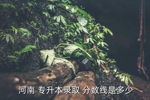 河南會計(jì)專升本分?jǐn)?shù)線2015年,河南專升本錄取分?jǐn)?shù)線出爐