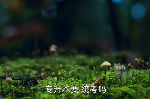 專升本校考和統(tǒng)考,基礎(chǔ)課和專業(yè)課在校內(nèi)考