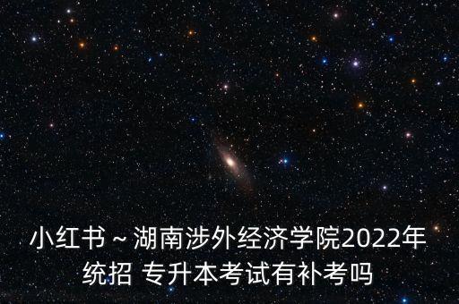 小紅書～湖南涉外經濟學院2022年統(tǒng)招 專升本考試有補考嗎