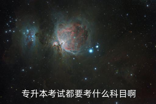  專升本考試都要考什么科目啊