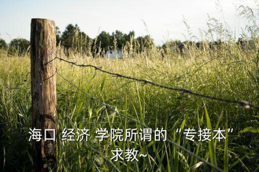  海口 經(jīng)濟(jì) 學(xué)院所謂的“專接本”求教~