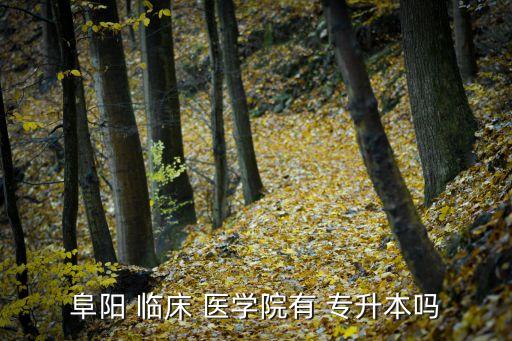 安徽臨床醫(yī)學(xué)專升本學(xué)校,安徽醫(yī)學(xué)大學(xué)醫(yī)學(xué)?？茖W(xué)校暫停招生
