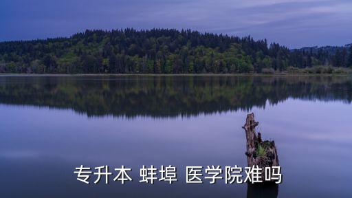 蚌埠醫(yī)學(xué)專(zhuān)升本論壇,2022年安徽專(zhuān)升本招生計(jì)劃點(diǎn)擊此處