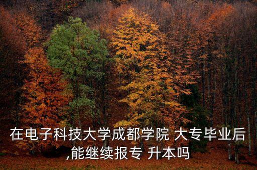 電科大專升本,3.在線教育升本、成人高考升本，電話