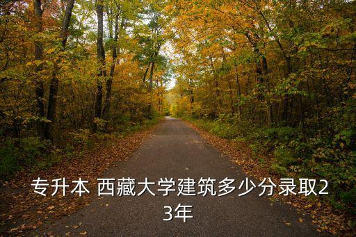 專(zhuān)升本 西藏大學(xué)建筑多少分錄取23年