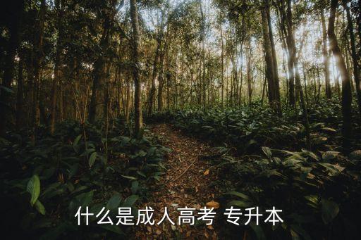 繼續(xù)教育自考專(zhuān)升本,本地教育專(zhuān)科學(xué)府有哪些機(jī)構(gòu)招生?