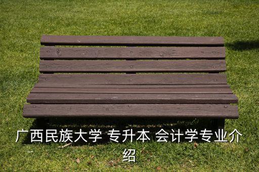 廣西民族大學(xué) 專(zhuān)升本 會(huì)計(jì)學(xué)專(zhuān)業(yè)介紹