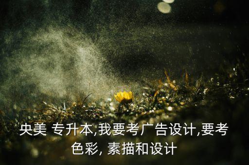 央美 專升本,我要考廣告設(shè)計(jì),要考色彩, 素描和設(shè)計(jì)