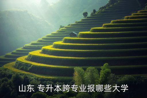 山東 專升本跨專業(yè)報(bào)哪些大學(xué)
