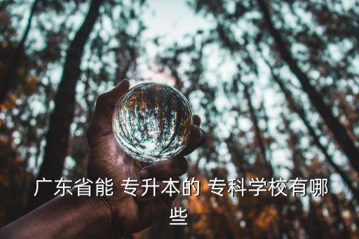  廣東省能 專升本的 ?？茖W校有哪些