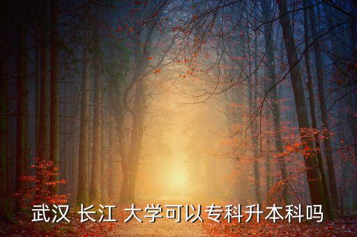 武漢 長江 大學(xué)可以?？粕究茊? class=