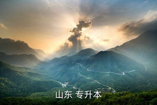山東 專(zhuān)升本