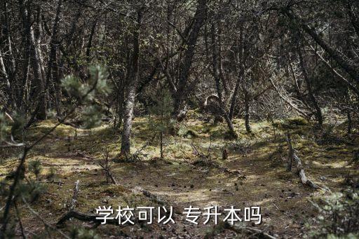 學(xué)?？梢?專升本嗎