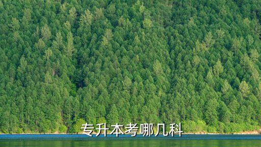 淮安市專(zhuān)升本考試,湖北通用專(zhuān)升本考試科目為大學(xué)英語(yǔ) 專(zhuān)業(yè)課