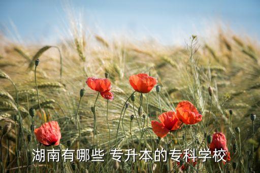 湖南有哪些 專升本的專科學(xué)校