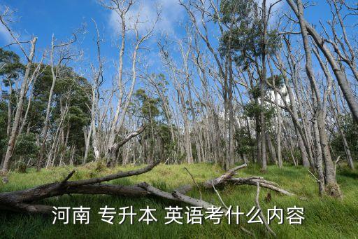 河南 專升本 英語考什么內容