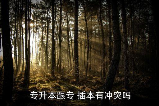 讀了專升本可以插本嗎,專升本和專科插本主要區(qū)別在于哪個?