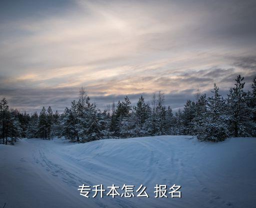 北電專升本怎么報名,自學專升本報名須持身份證和學生證
