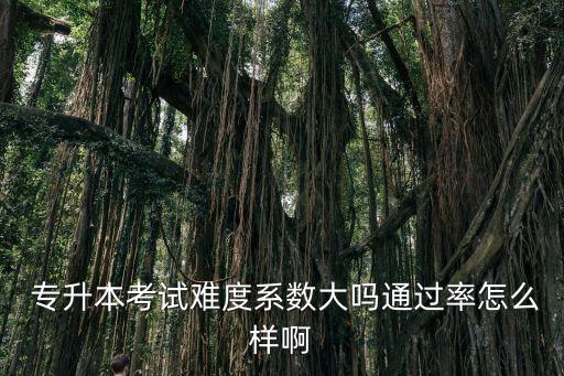  專升本考試難度系數(shù)大嗎通過率怎么樣啊