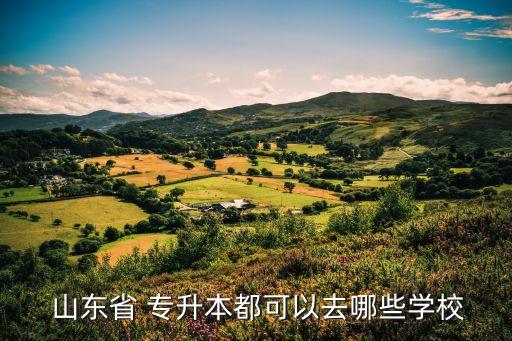  山東省 專升本都可以去哪些學校