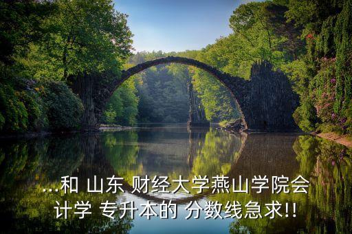 ...和 山東 財(cái)經(jīng)大學(xué)燕山學(xué)院會計(jì)學(xué) 專升本的 分?jǐn)?shù)線急求!!