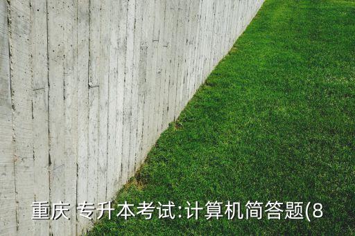 重慶 專升本考試:計算機簡答題(8