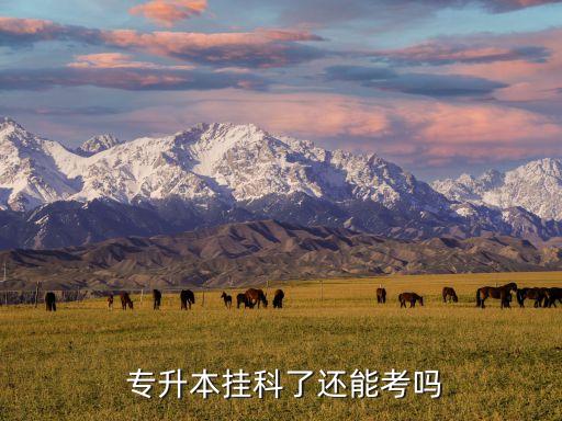 掛幾科不能專升本,專升本報名前通過考試不及格的同學(xué)需再申請