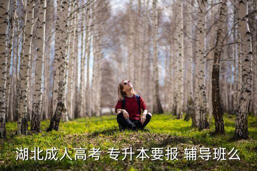 湖北成人高考 專升本要報(bào) 輔導(dǎo)班么