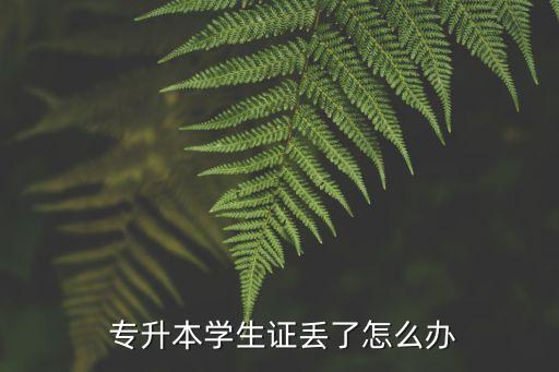  專(zhuān)升本學(xué)生證丟了怎么辦