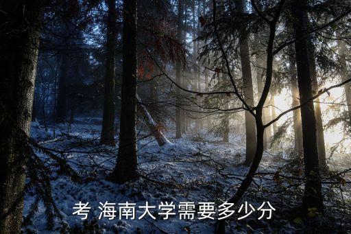 考 海南大學需要多少分