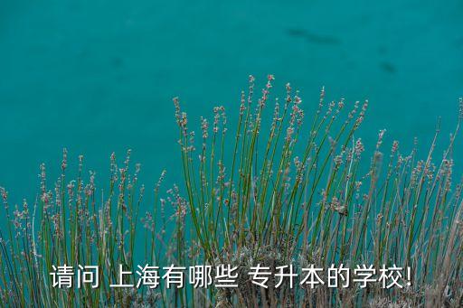 請(qǐng)問(wèn) 上海有哪些 專升本的學(xué)校!