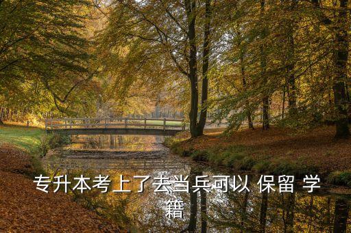  專升本考上了去當兵可以 保留 學籍