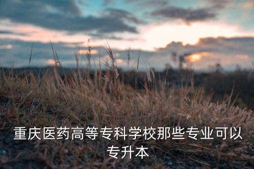  重慶醫(yī)藥高等?？茖W(xué)校那些專業(yè)可以 專升本