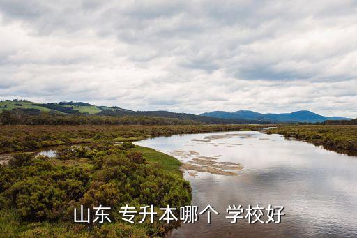 濰坊專(zhuān)升本學(xué)校排名,山東財(cái)經(jīng)大學(xué)獨(dú)立學(xué)院成為本地第四所