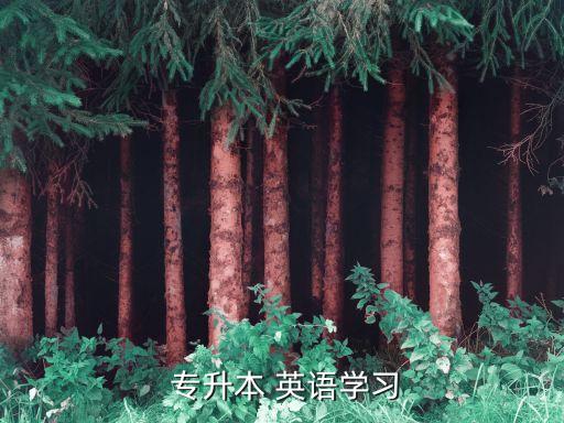  專(zhuān)升本 英語(yǔ)學(xué)習(xí)