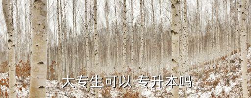 是不是大專都能專升本,大專畢業(yè)直接進(jìn)入大三讀本科兩年