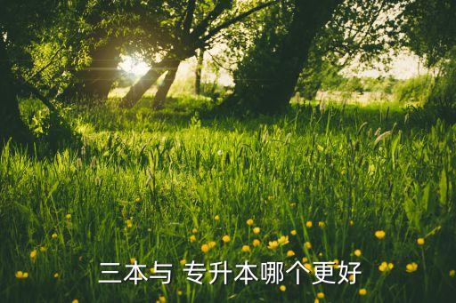  三本與 專升本哪個(gè)更好