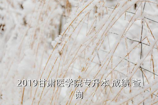 醫(yī)專升本成績查詢時(shí)間,甘肅醫(yī)學(xué)院2019年高考成績公布
