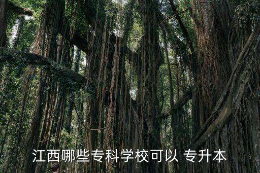 江西哪些?？茖W(xué)校可以 專升本