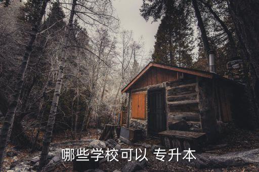 哪些學(xué)?？梢?專升本