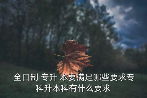  全日制 專升 本要滿足哪些要求?？粕究朴惺裁匆? class=
