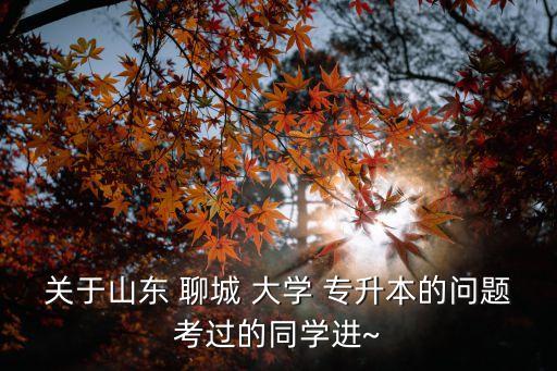 聊城大學(xué)專(zhuān)升本,山東八所大學(xué)可申請(qǐng)專(zhuān)升本跨專(zhuān)業(yè)