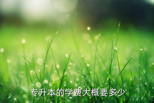  專(zhuān)升本的學(xué)費(fèi)大概要多少