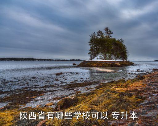 西安市專升本考試,西安專升本補習(xí)學(xué)校為你科普普及知識