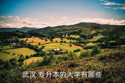 武漢 專升本的大學有哪些