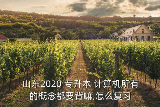  山東2020 專升本 計(jì)算機(jī)所有的概念都要背嘛,怎么復(fù)習(xí)