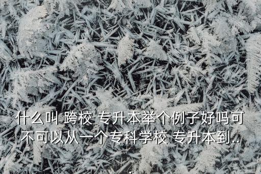 什么叫 跨校 專升本舉個例子好嗎可不可以從一個?？茖W校 專升本到...